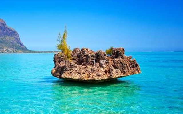 Catamaran Sharing Mauritius
